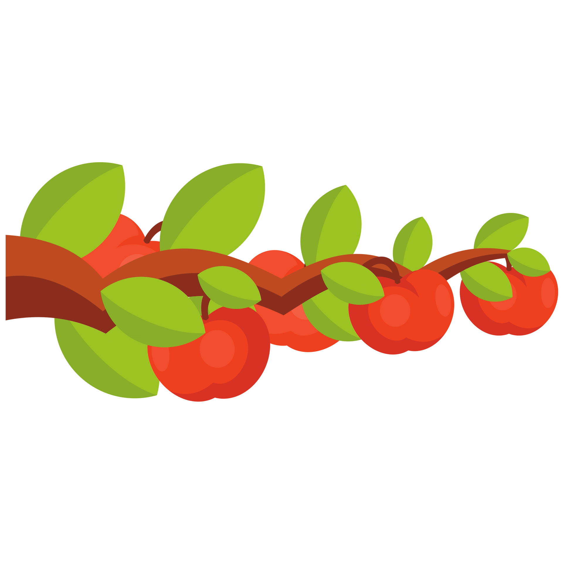 Text that describes the image
