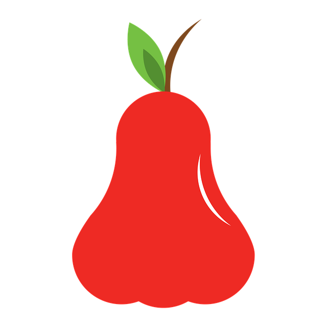 illustration of a rose apple